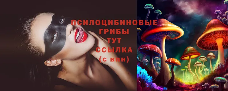 где найти наркотики  Малая Вишера  Псилоцибиновые грибы Magic Shrooms 